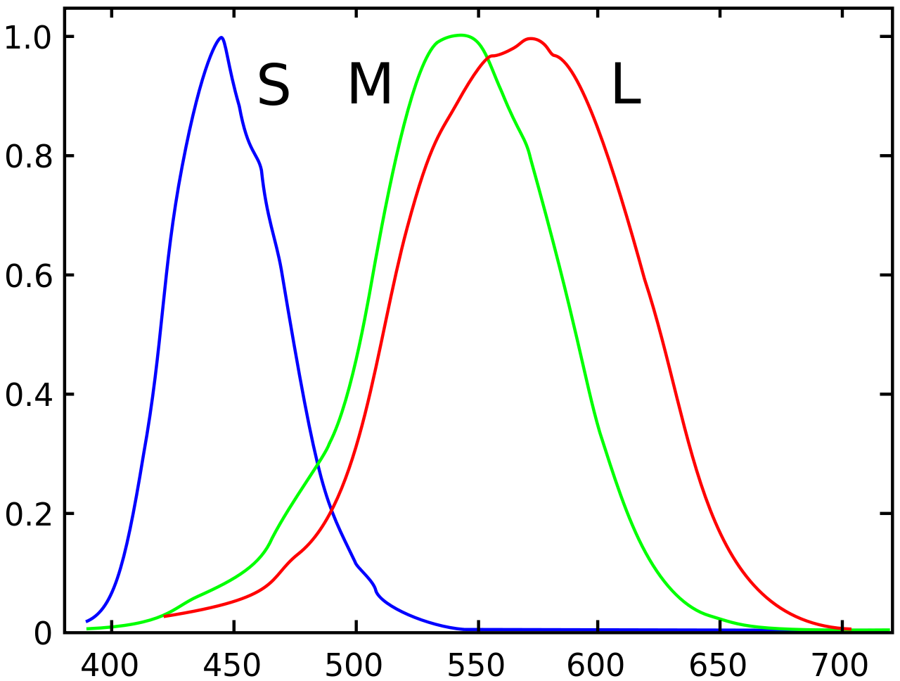 A human eye consists of red-green-blue receptors